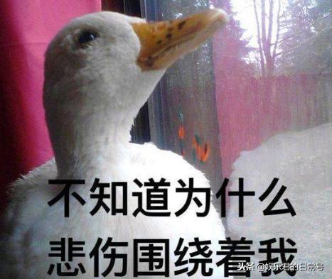 娱乐吃瓜酱冲鸭,揭秘娱乐圈那些鲜为人知的幕后故事