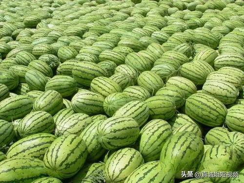 在网上吃瓜,揭秘虚拟世界的娱乐狂欢