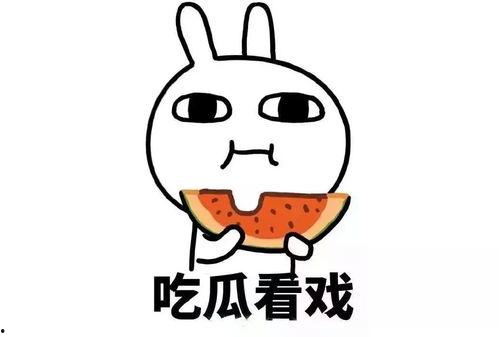 娱乐吃瓜自我介绍,我的趣味生活与八卦世界