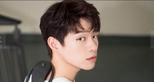 娱乐吃瓜酱王晨正,娱乐吃瓜界的“酱王”，揭秘娱乐圈幕后风云