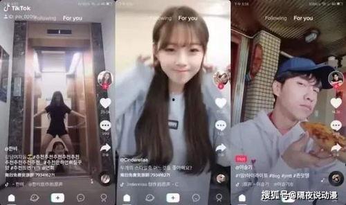 娱乐吃瓜酱虐猫博主小说,吃瓜酱小说揭秘