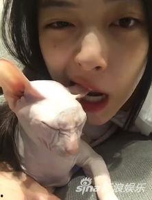 娱乐吃瓜酱虐猫博主小说,吃瓜酱小说揭秘